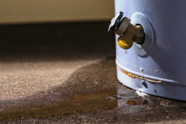 Best Sewage cleanup and water damage restoration  in Barclay, NJ