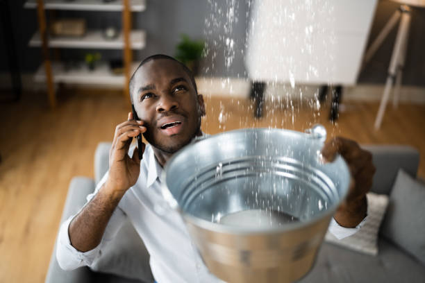 Best Local water damage restoration  in Barclay, NJ