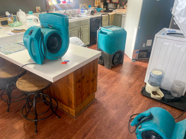 Best Mold removal after water damage  in Barclay, NJ